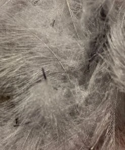 Nature's Spirit Swiss CDC 100% Natural Dyed Grade 24 Nature's Spirit Swiss CDC 100% Natural Dyed Grade