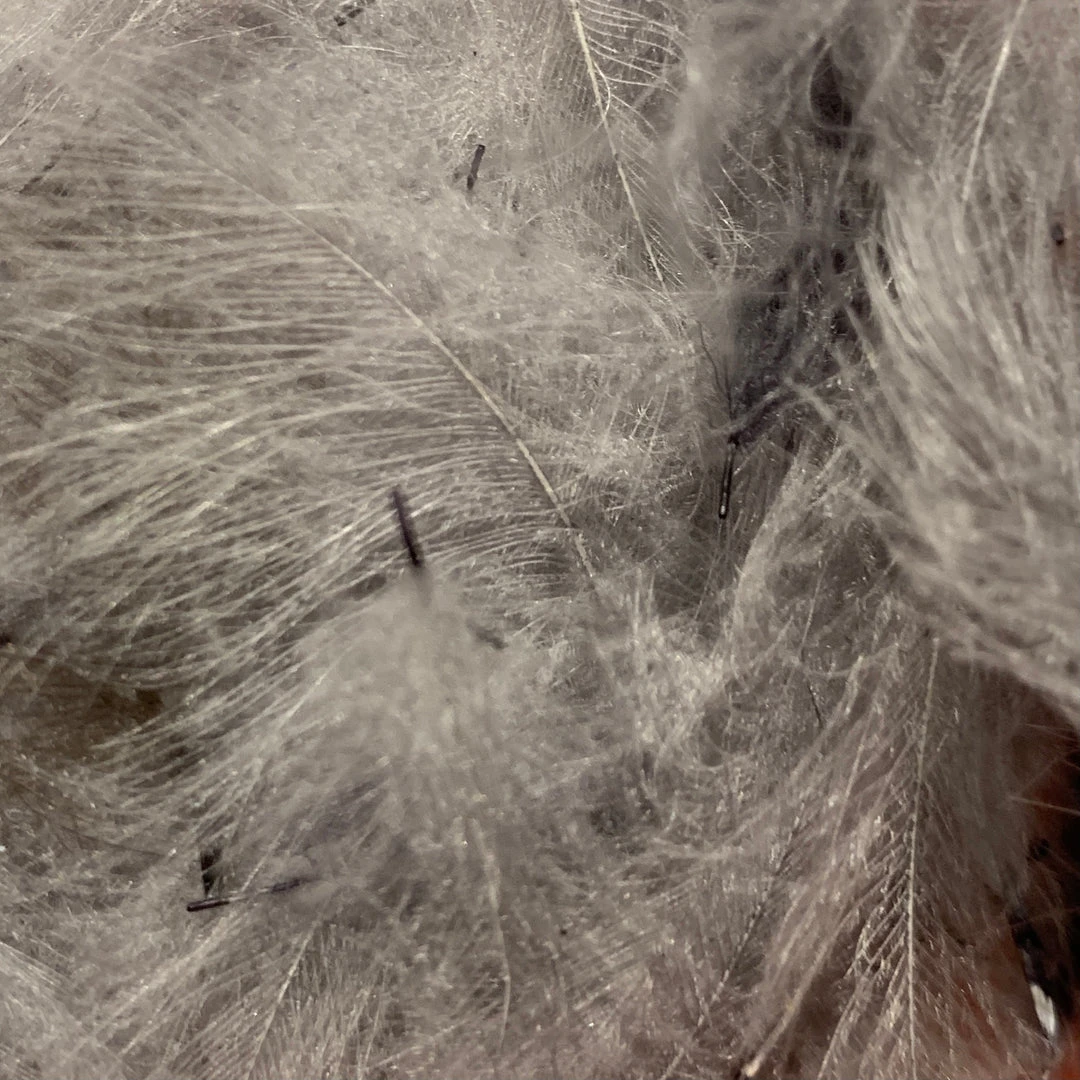 Nature's Spirit Swiss CDC 100% Natural Dyed Grade 9 Nature's Spirit Swiss CDC 100% Natural Dyed Grade