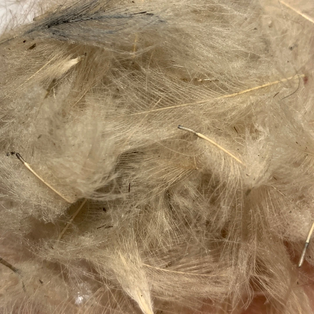 Nature's Spirit Swiss CDC 100% Natural Dyed Grade 10 Nature's Spirit Swiss CDC 100% Natural Dyed Grade