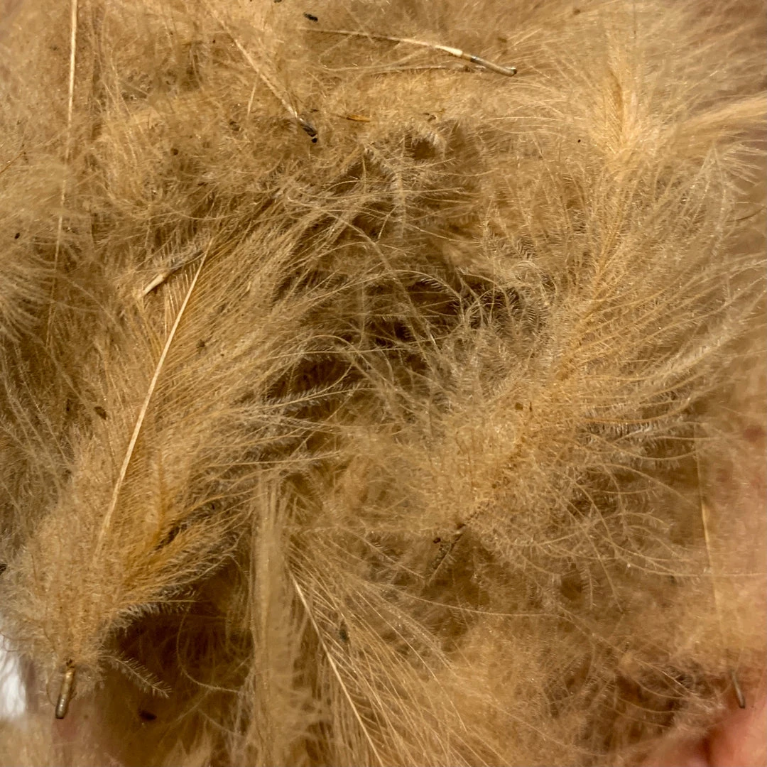 Nature's Spirit Swiss CDC 100% Natural Dyed Grade 12 Nature's Spirit Swiss CDC 100% Natural Dyed Grade