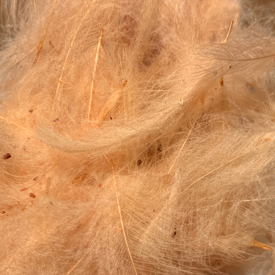 Nature's Spirit Swiss CDC 100% Natural Dyed Grade 13 Nature's Spirit Swiss CDC 100% Natural Dyed Grade