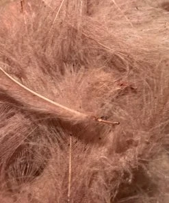 Nature's Spirit Swiss CDC 100% Natural Dyed Grade 32 Nature's Spirit Swiss CDC 100% Natural Dyed Grade