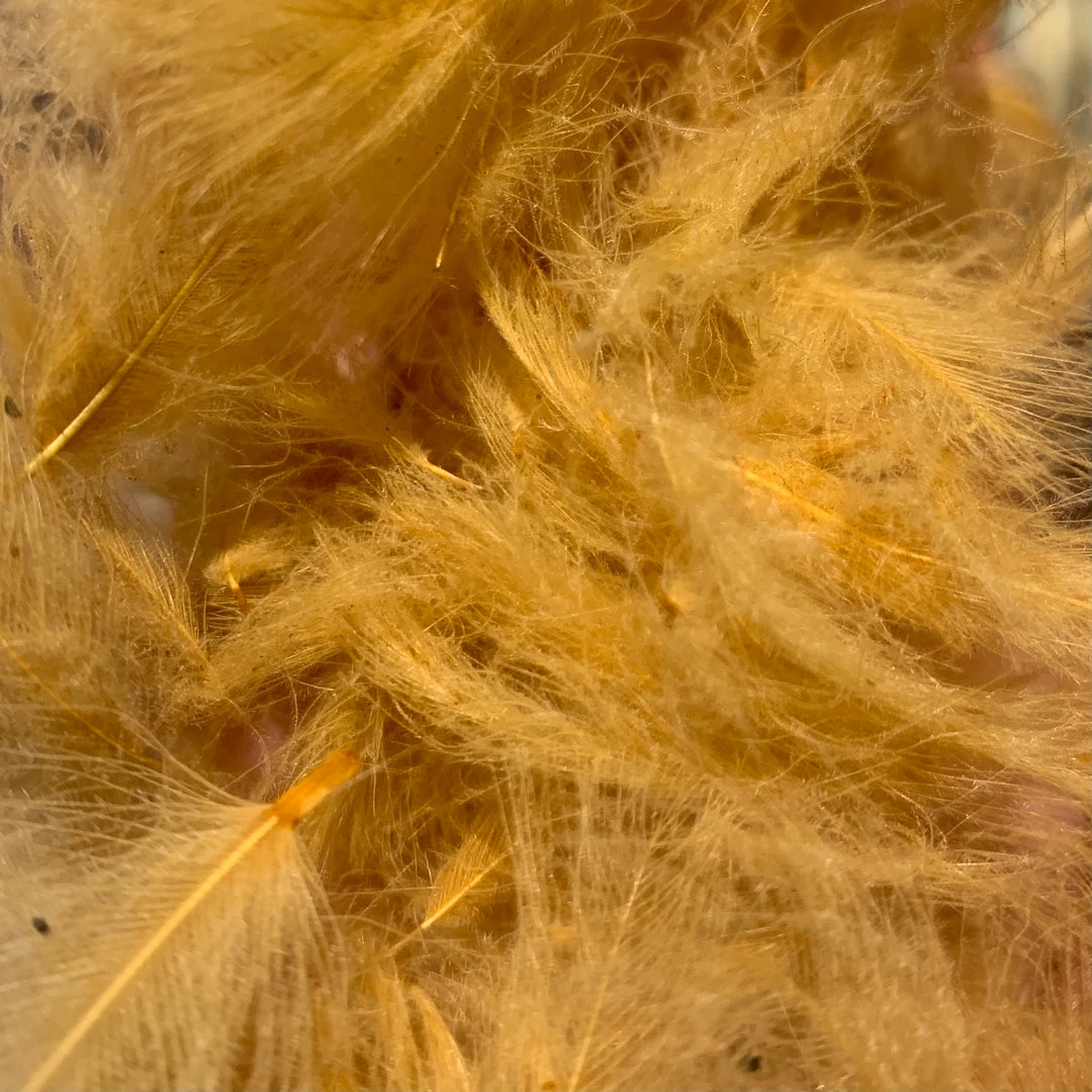 Nature's Spirit Swiss CDC 100% Natural Dyed Grade 18 Nature's Spirit Swiss CDC 100% Natural Dyed Grade