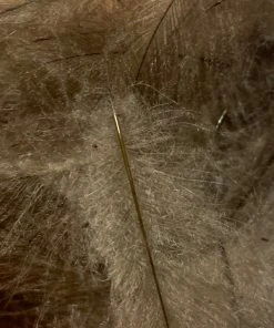 TroutHunter Premium Bulk CDC Feathers & Marabou