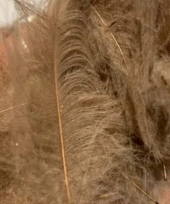 TroutHunter Premium Bulk CDC Feathers & Marabou