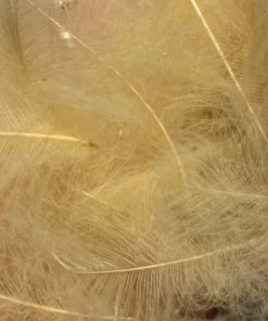 TroutHunter Premium Bulk CDC Feathers & Marabou
