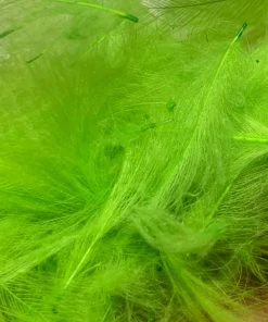 TroutHunter Premium Bulk CDC Feathers & Marabou
