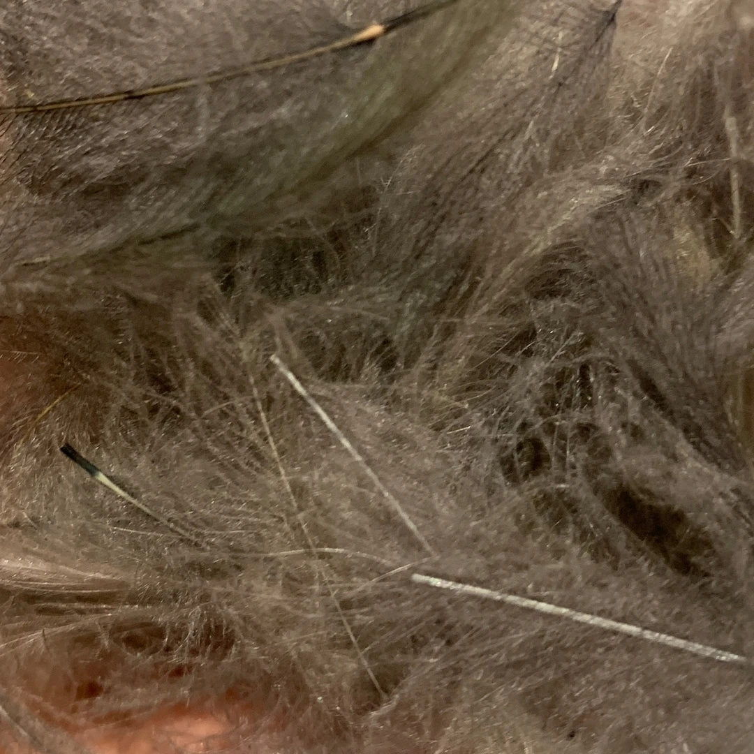 TroutHunter Premium CDC 13 TroutHunter Premium CDC