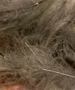 TroutHunter Premium Bulk CDC Feathers & Marabou