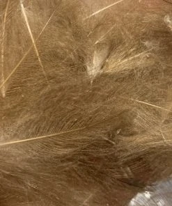 TroutHunter Premium Bulk CDC Feathers & Marabou