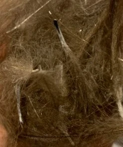 TroutHunter Premium Bulk CDC Feathers & Marabou