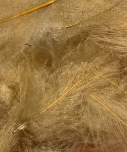TroutHunter Premium Bulk CDC Feathers & Marabou
