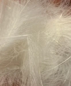 TroutHunter Premium Bulk CDC Feathers & Marabou