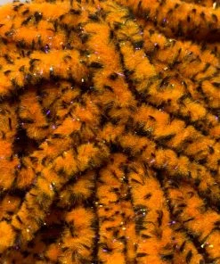 Hareline UV Mottled Galaxy Mop Chenille 40 Hareline UV Mottled Galaxy Mop Chenille