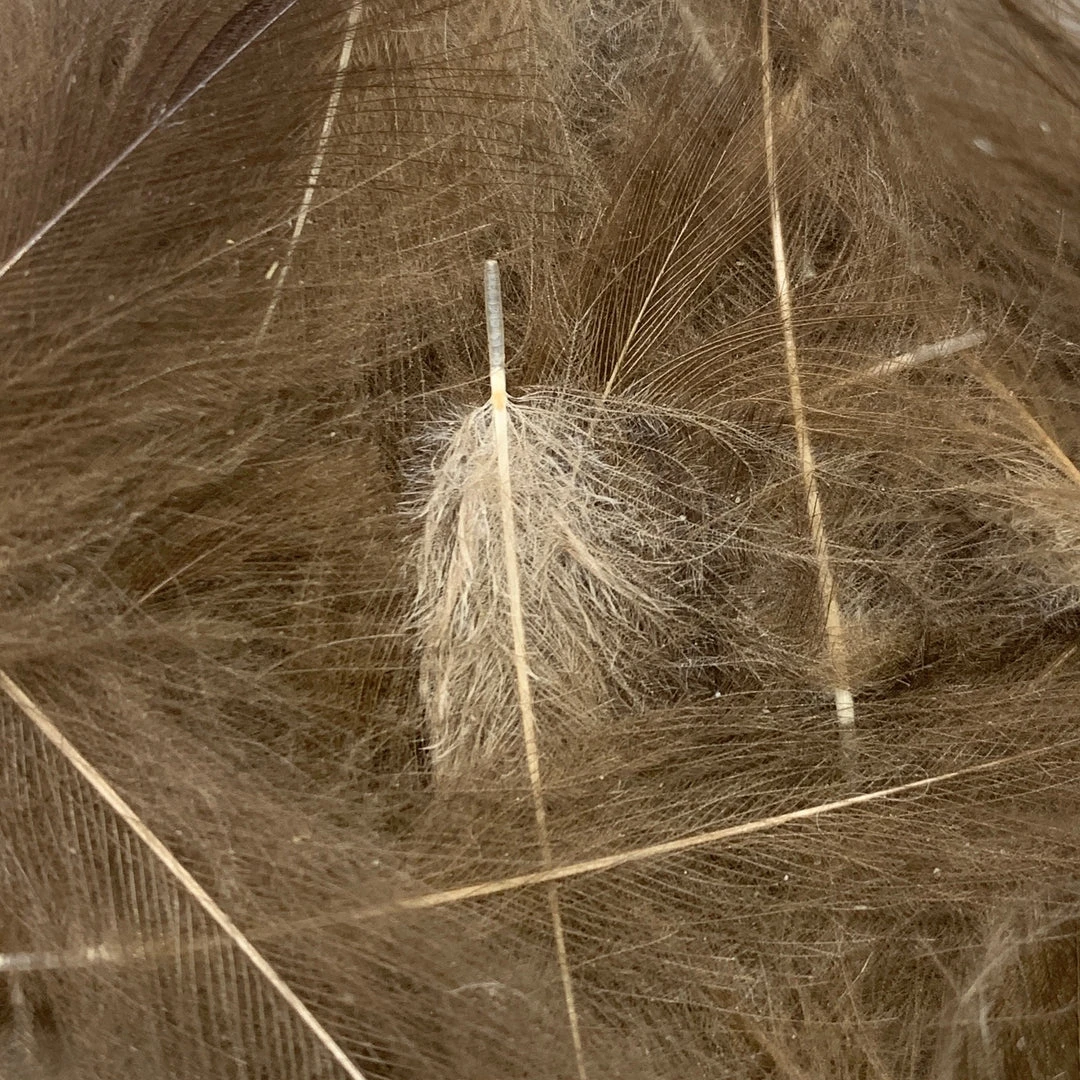 Nature's Spirit Swiss CDC Ultra Select XL Grade Feathers & Marabou 19 Nature's Spirit Swiss CDC Ultra Select XL Grade Feathers & Marabou