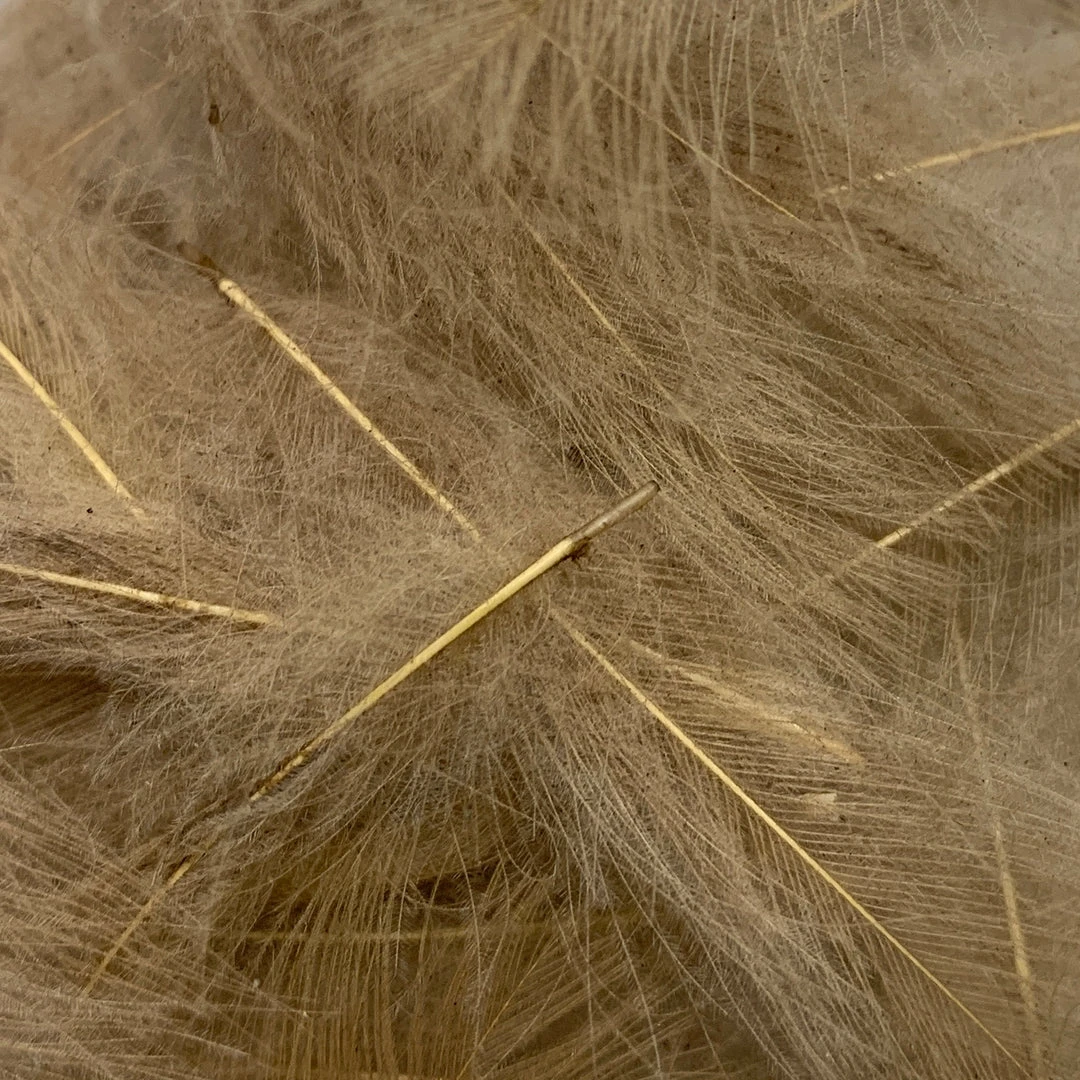 Nature's Spirit Swiss CDC Ultra Select XL Grade Feathers & Marabou 13 Nature's Spirit Swiss CDC Ultra Select XL Grade Feathers & Marabou