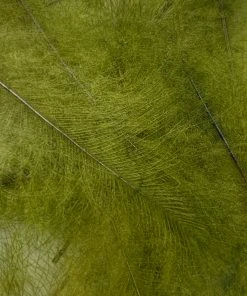 Nature's Spirit Swiss CDC Ultra Select XL Grade Feathers & Marabou 30 Nature's Spirit Swiss CDC Ultra Select XL Grade Feathers & Marabou