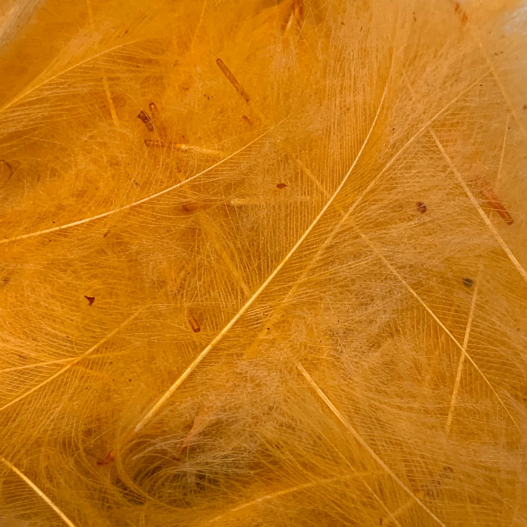 Nature's Spirit Swiss CDC Ultra Select XL Grade Feathers & Marabou 10 Nature's Spirit Swiss CDC Ultra Select XL Grade Feathers & Marabou