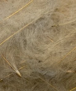Nature's Spirit Swiss CDC Ultra Select XL Grade Feathers & Marabou 27 Nature's Spirit Swiss CDC Ultra Select XL Grade Feathers & Marabou