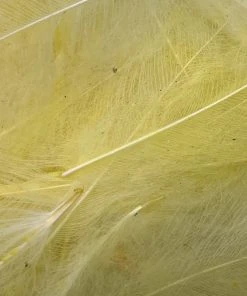Nature's Spirit Swiss CDC Ultra Select XL Grade Feathers & Marabou 26 Nature's Spirit Swiss CDC Ultra Select XL Grade Feathers & Marabou