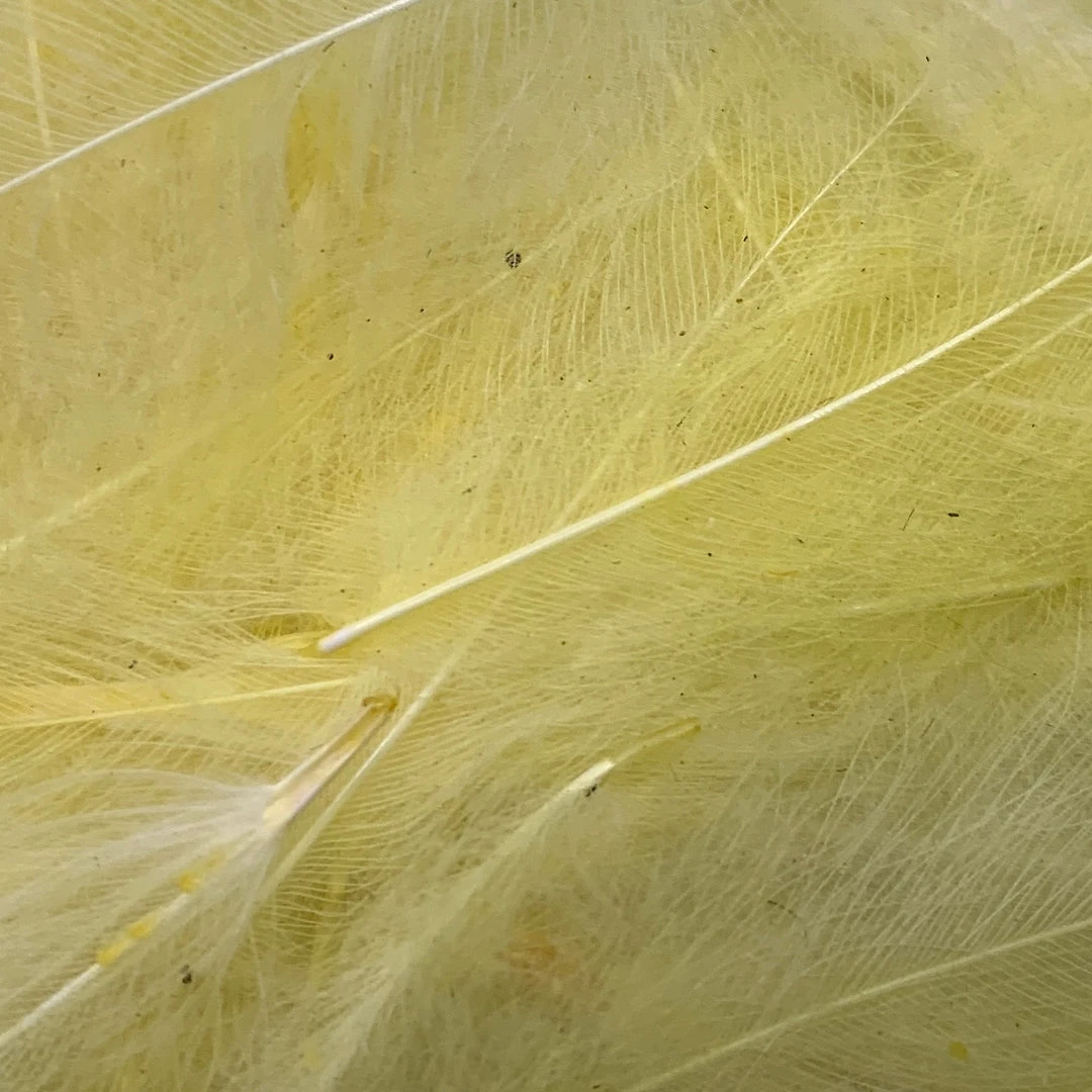 Nature's Spirit Swiss CDC Ultra Select XL Grade Feathers & Marabou 7 Nature's Spirit Swiss CDC Ultra Select XL Grade Feathers & Marabou