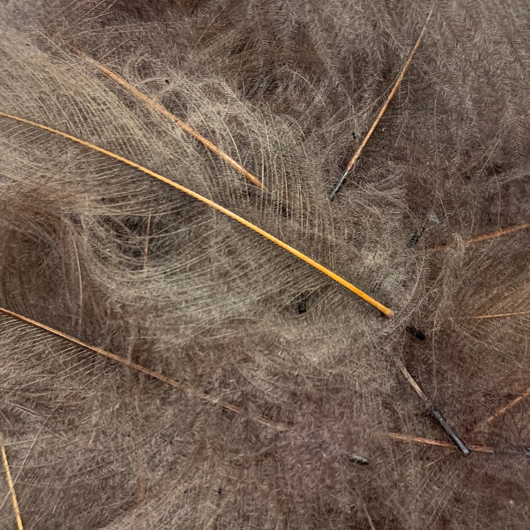 Nature's Spirit Swiss CDC Ultra Select XL Grade Feathers & Marabou 6 Nature's Spirit Swiss CDC Ultra Select XL Grade Feathers & Marabou