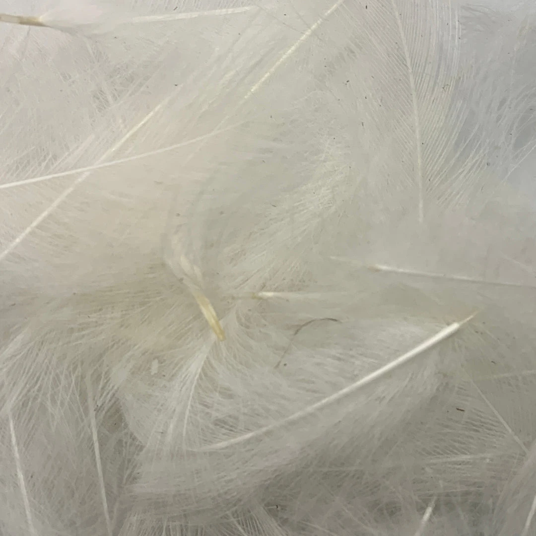 Nature's Spirit Swiss CDC Ultra Select XL Grade Feathers & Marabou 4 Nature's Spirit Swiss CDC Ultra Select XL Grade Feathers & Marabou