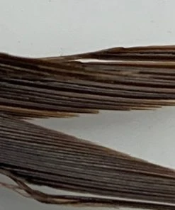 Hareline Feathers & Marabou Stripped Goose Biots