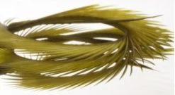 Semperfli Inferno Goose Biots Feathers & Marabou