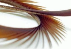 Semperfli Inferno Goose Biots Feathers & Marabou