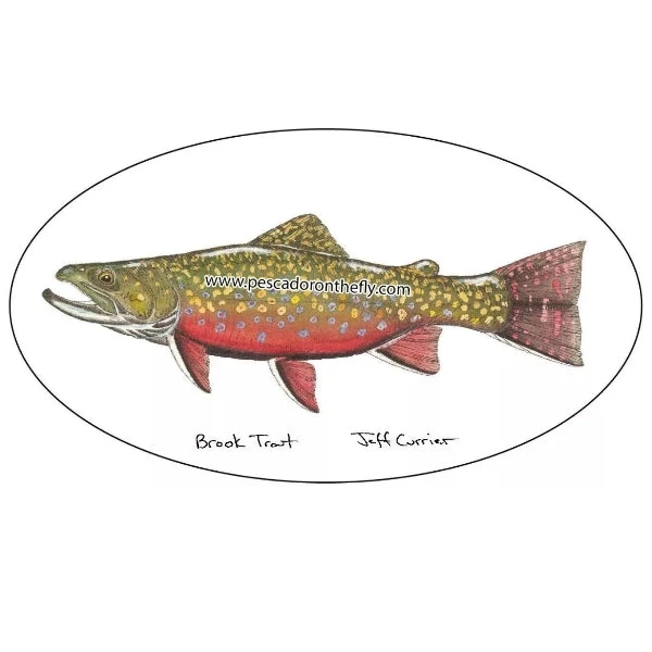 Pescador Jeff Currier Fish Decals Clothing & Logo Gear 3 Pescador Jeff Currier Fish Decals Clothing & Logo Gear