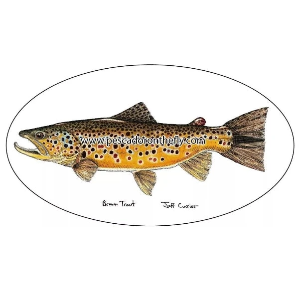 Pescador Jeff Currier Fish Decals Clothing & Logo Gear 5 Pescador Jeff Currier Fish Decals Clothing & Logo Gear