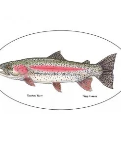 Pescador Jeff Currier Fish Decals Clothing & Logo Gear 10 Pescador Jeff Currier Fish Decals Clothing & Logo Gear