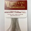 Whiting 100 Pack Dry Fly Hackle - Light Dun - 12