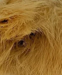 Nature's Spirit Fish Hunter Premium Strung Marabou Feathers & Marabou