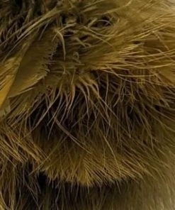 Nature's Spirit Fish Hunter Premium Strung Marabou Feathers & Marabou