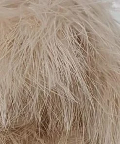 Nature's Spirit 1oz Master Pack: Fish Hunter Premium Strung Marabou Feathers & Marabou