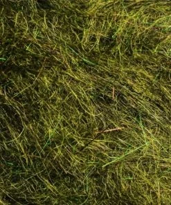 Rohmer Arizona Mega Simi Seal