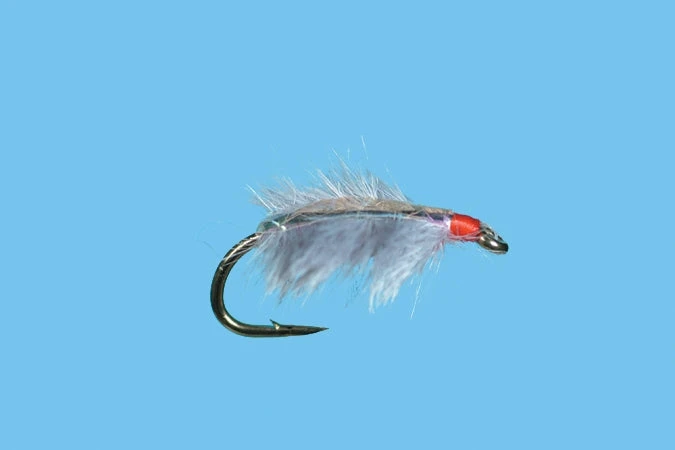 Solitude Sow Bug - Gray 3 Solitude Sow Bug - Gray