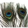 Hareline Peacock Eye Sticks
