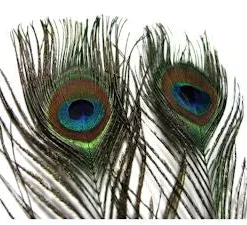 Hareline Peacock Eye Sticks