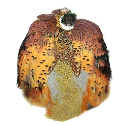 Hareline Ringneck Pheasant Skin 3 Hareline Ringneck Pheasant Skin