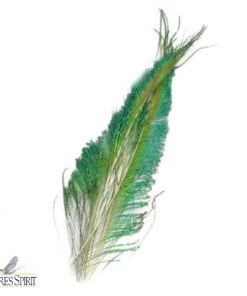 Nature's Spirit Feathers & Marabou Peacock Swords - Matched Pair