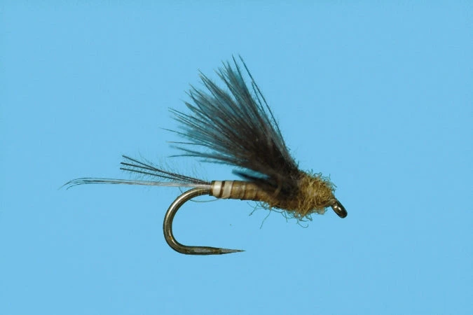 Solitude Shop Flies Harrop's CDC Biot Dun - BWO 3 Solitude Shop Flies Harrop's CDC Biot Dun - BWO