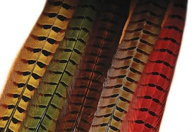 Hareline Feathers & Marabou Ringneck Pheasant Tail 3 Hareline Feathers & Marabou Ringneck Pheasant Tail