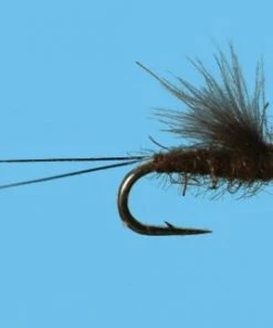 Solitude RS2 - Chocolate