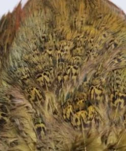 Nature's Spirit Feathers & Marabou Fish Hunter Ringneck Pheasant Rump Patch