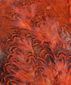 Nature's Spirit Feathers & Marabou Fish Hunter Ringneck Pheasant Rump Patch