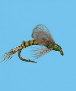 Solitude Loop Wing Emerger - Olive Shop Flies