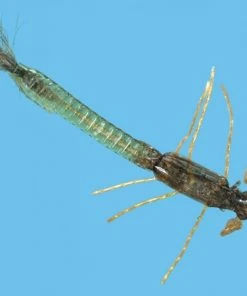 Solitude Shop Flies Ultra Damsel Nymph - Olive